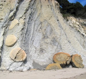 ...and rocks that Steve says reminds him of the Olympic rings